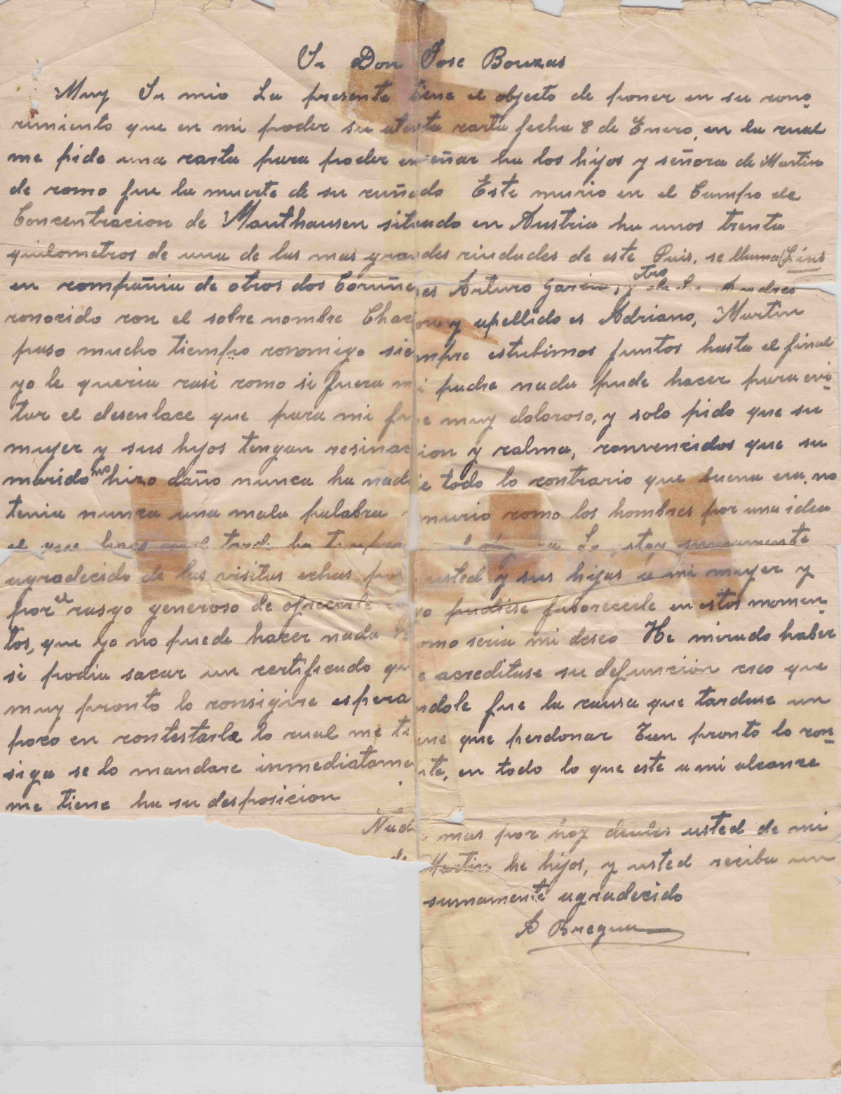 Carta corta