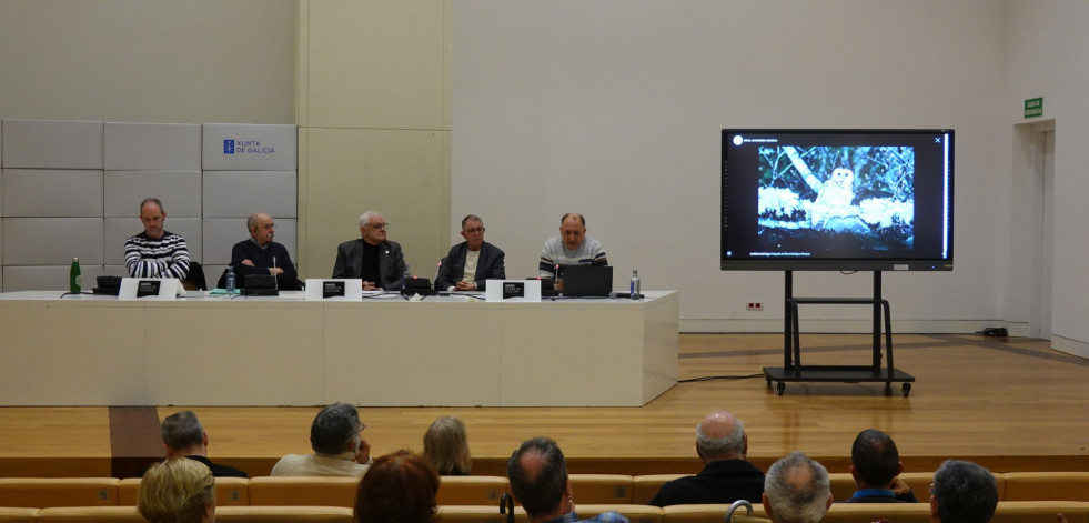 A Real Academia Galega presenta unha ferramenta web cos nomes galegos das aves de Galicia e España