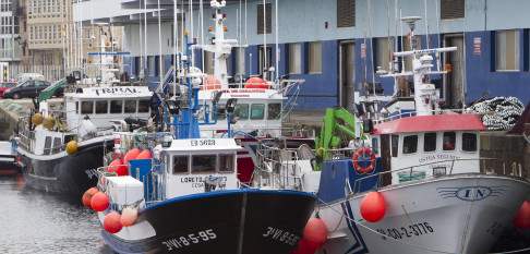 Abre la pesquería de caballa para flota de artes distintas al arrastre y cerco en A Coruña