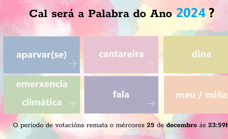 “Aparvar(se)”, “cantareira”, “dina”, “emerxencia climática”, “fala” e “meu”, finalistas na elección da Palabra do Ano 2024