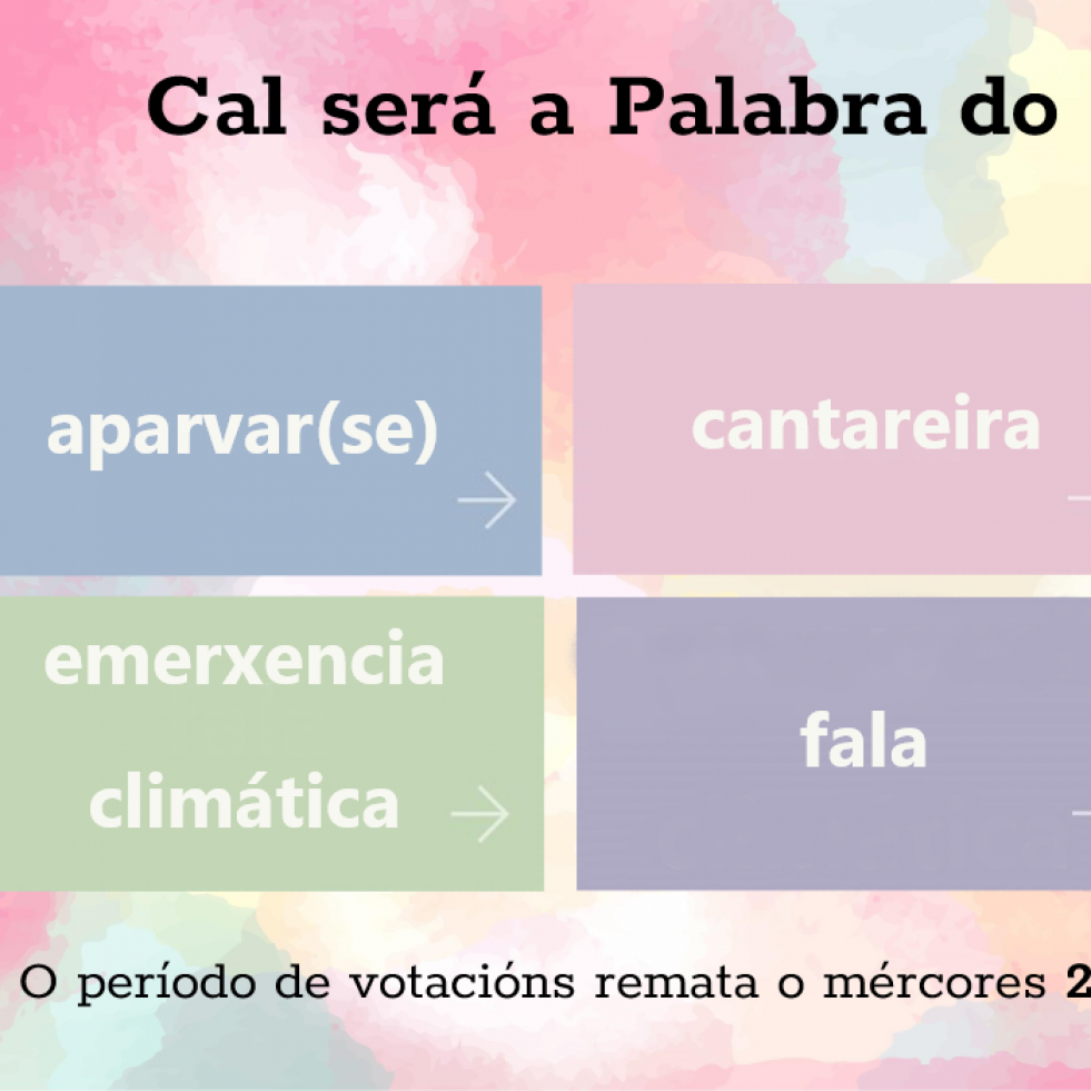 “Aparvar(se)”, “cantareira”, “dina”, “emerxencia climática”, “fala” e “meu”, finalistas na elección da Palabra do Ano 2024