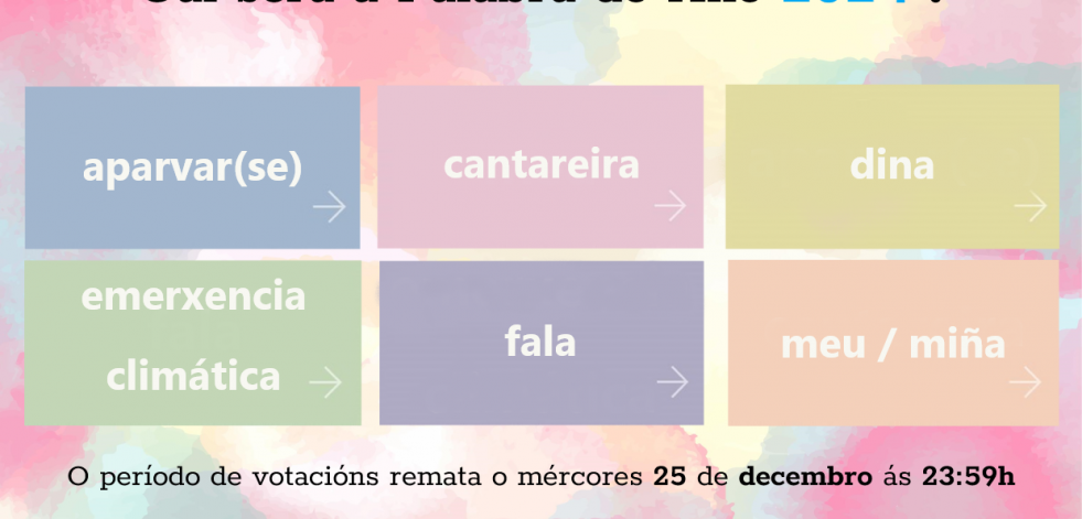 “Aparvar(se)”, “cantareira”, “dina”, “emerxencia climática”, “fala” e “meu”, finalistas na elección da Palabra do Ano 2024