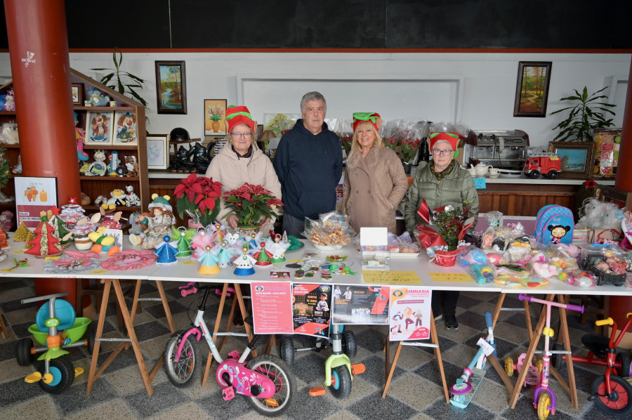 Flores de Pascua, artesanía y todo tipo de juguetes: así es el mercadillo de Navidad de Cecebre