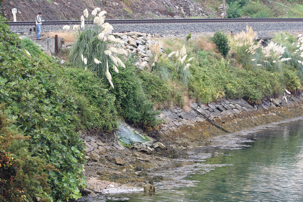 Vertidos en la ría en la zona de As Xubias