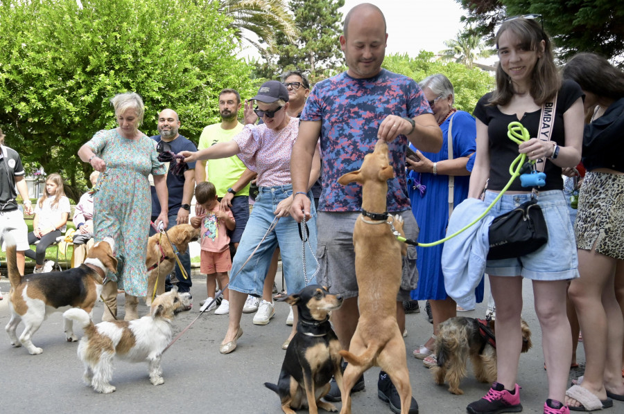 Así será el XI curso de Cancoruña para concienciar sobre el comportamiento canino