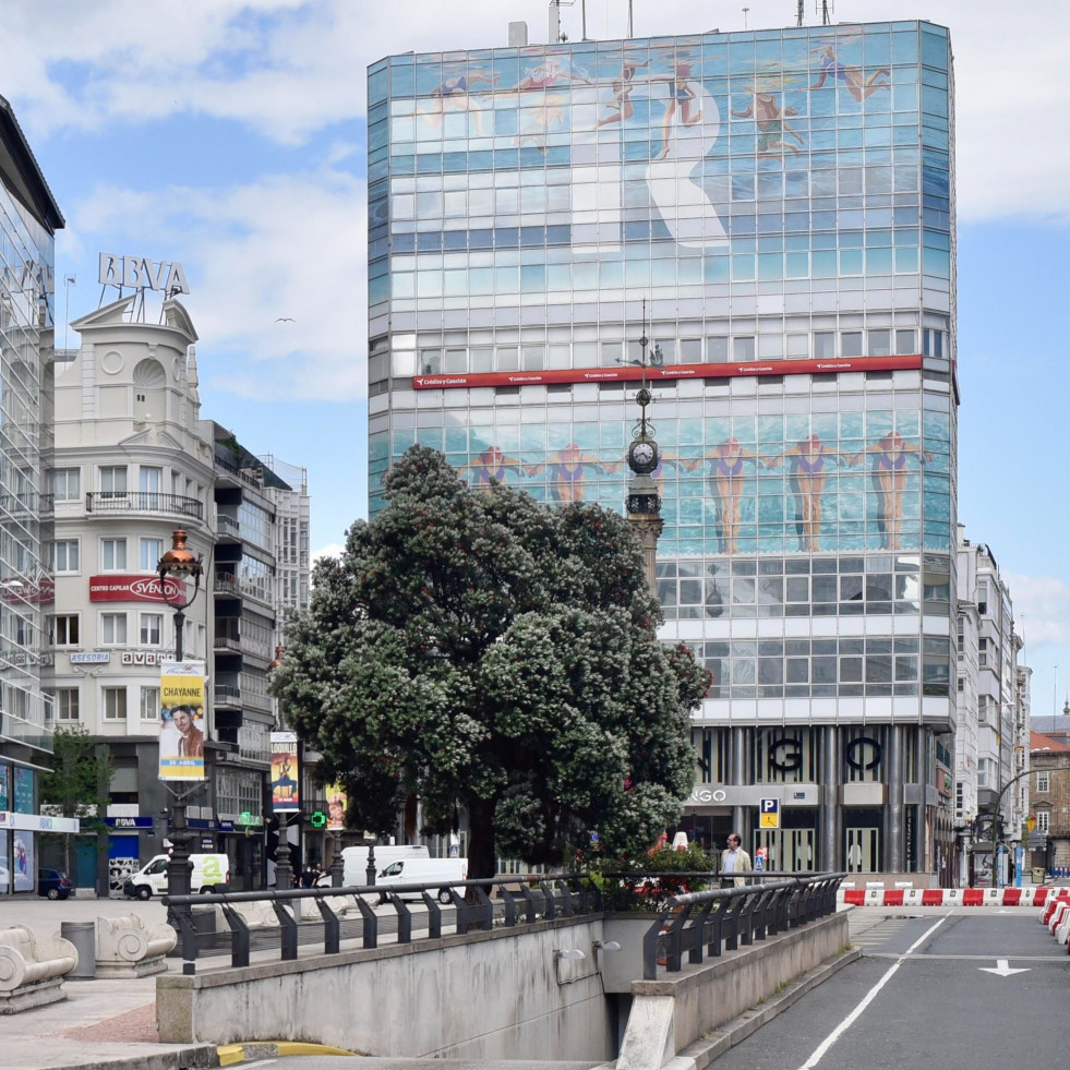 Hace 25 años | El metrosidero plantado junto al Obelisco será el árbol de la ciudad