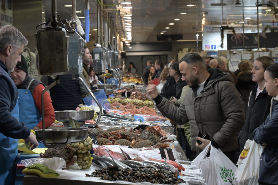 El percebe se paga hasta a 250 euros el kilo en la plaza de Lugo a una semana de Nochebuena