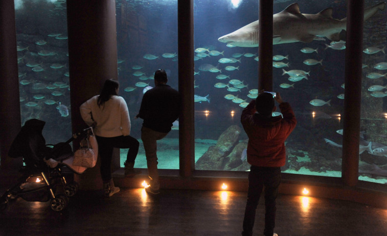 Hace 25 años | La inversión en el Acuario creció un 46% respecto al presupuesto inicial