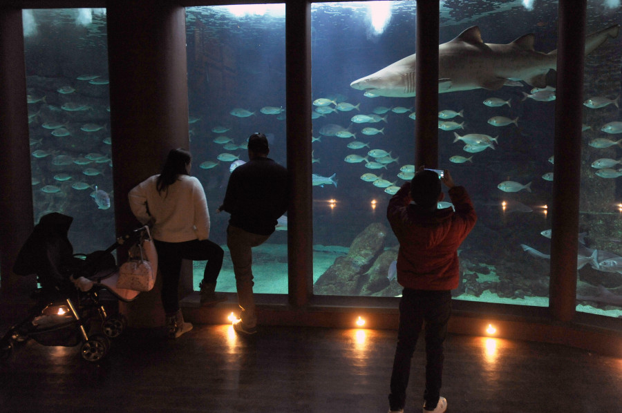 Hace 25 años | La inversión en el Acuario creció un 46% respecto al presupuesto inicial