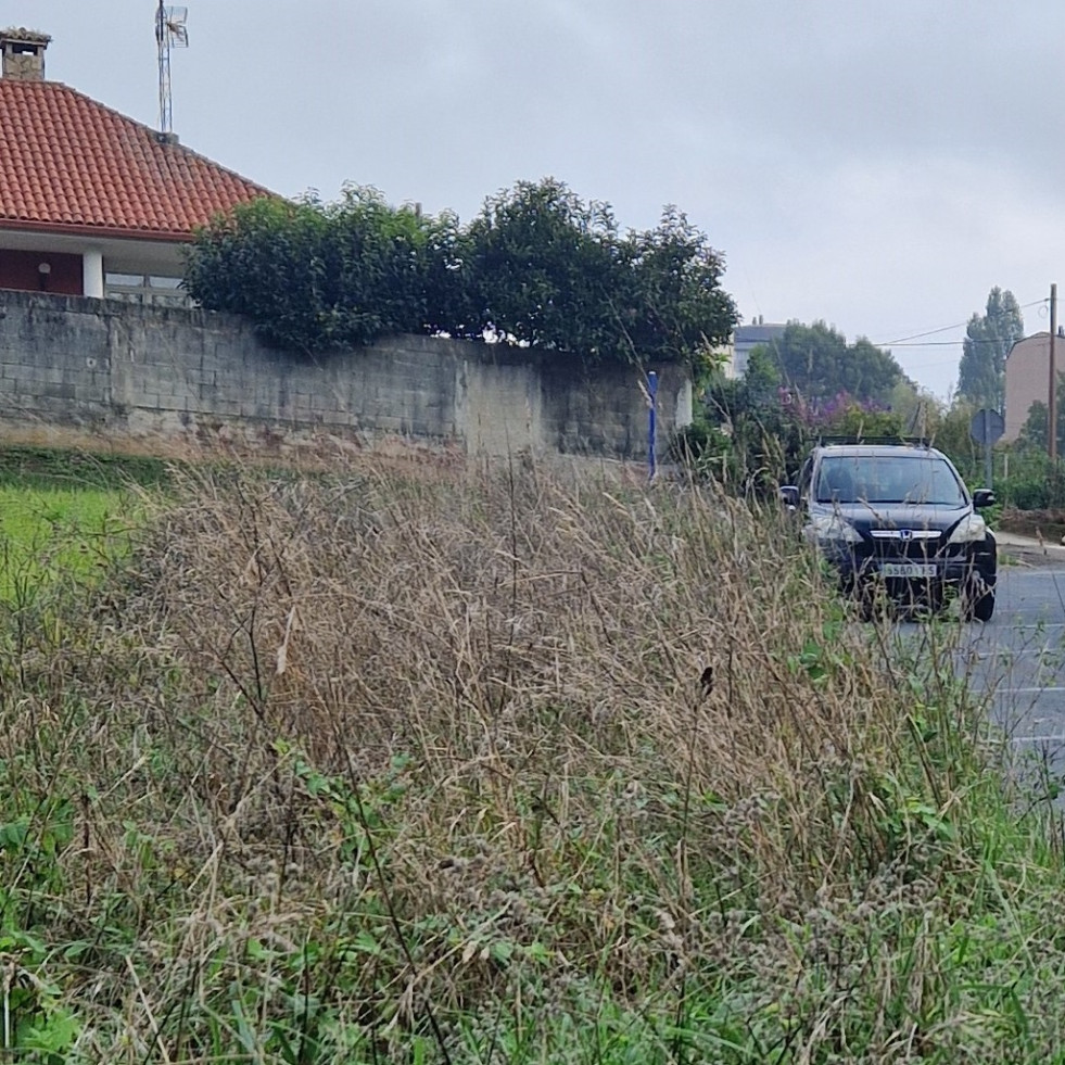 El PP de Culleredo denuncia que dos calles de Vilaboa “están a monte”