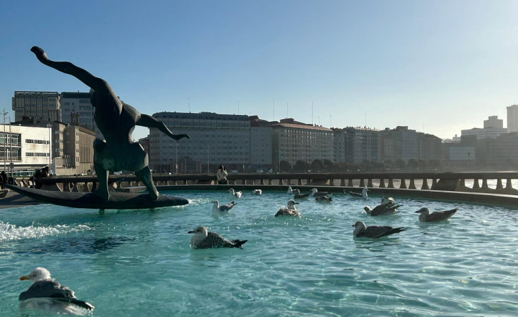 La fuente de las gaviotas de A Coruña cambia de ubicación