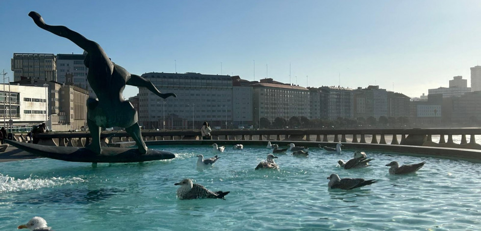 La fuente de las gaviotas de A Coruña cambia de ubicación