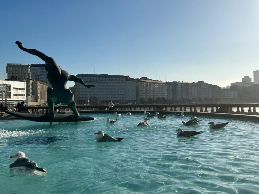 La fuente de las gaviotas de A Coruña cambia de ubicación