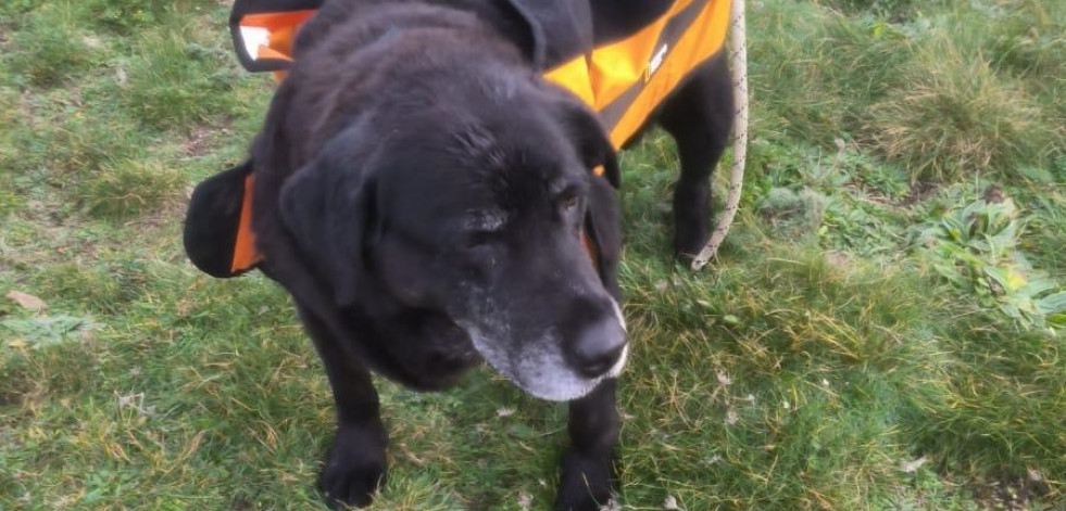 Rescatan a un perro atrapado en un acantilado de Seixo Branco