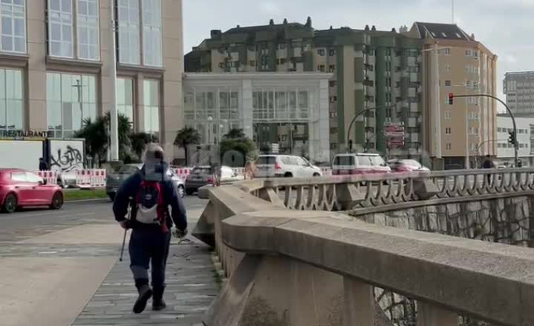 Los perros equilibristas del Paseo Marítimo de A Coruña