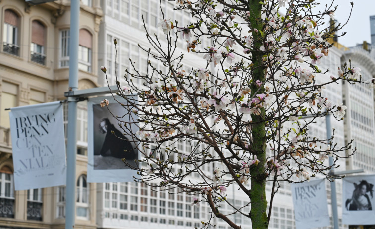 Primavera anticipada en A Coruña