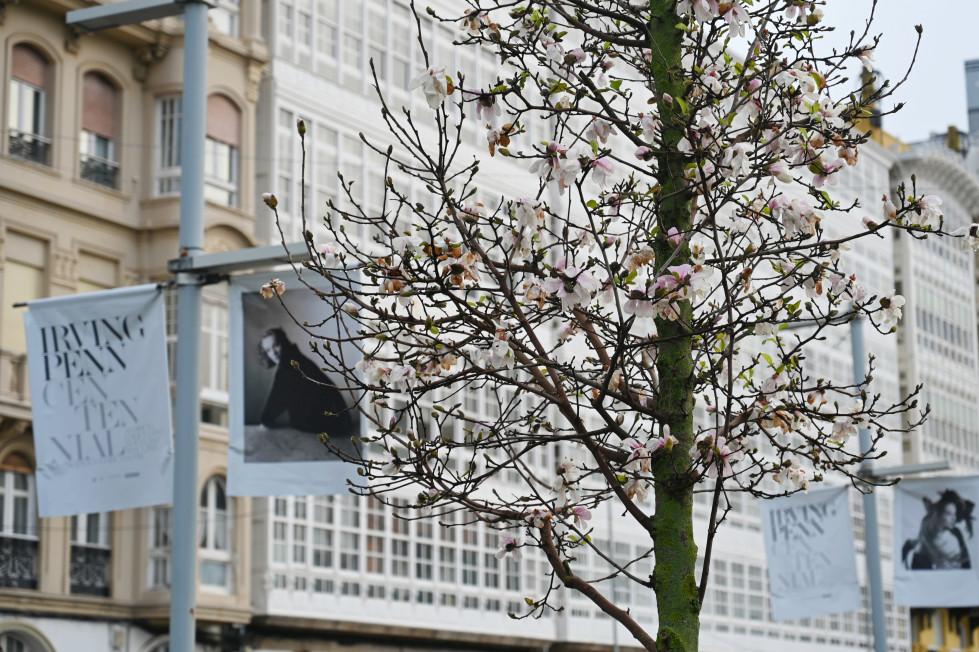 Primavera anticipada en A Coruña @ Pedro Puig (3)