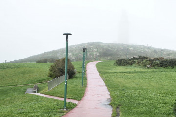 Niebla (9) 14031127