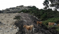 Un terremoto con epicentro en Barro se deja notar en parte de O Salnés y Ulla-Umia