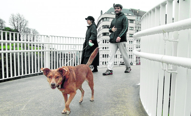 Desciende por primera vez en varios años el número de perros registrados en A Coruña