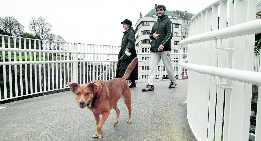 Desciende por primera vez en varios años el número de perros registrados en A Coruña