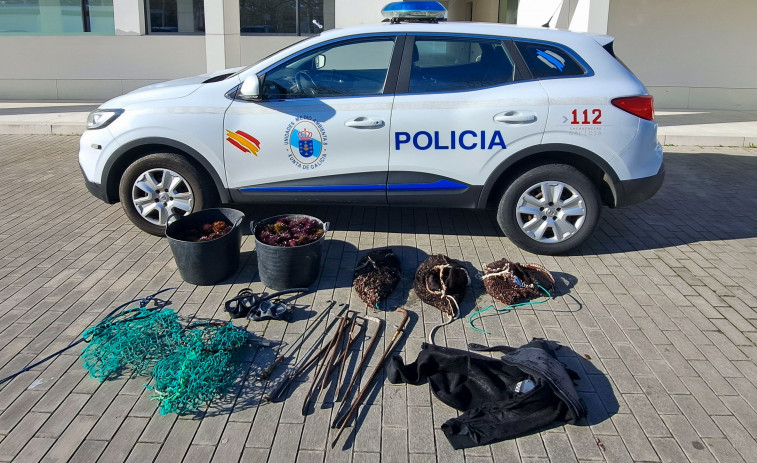 Incautados en A Coruña 20 kilos de percebes y 38 de erizo