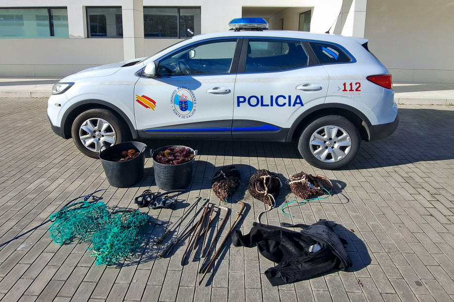 Incautados en A Coruña 20 kilos de percebes y 38 de erizo