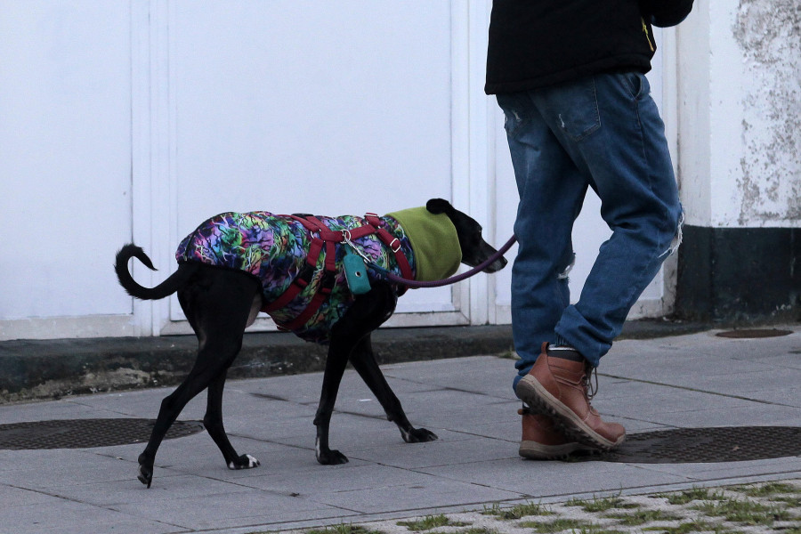 Mínima de 2,6 grados en A Coruña: ¿Hasta cuándo va a durar este frío que pela?