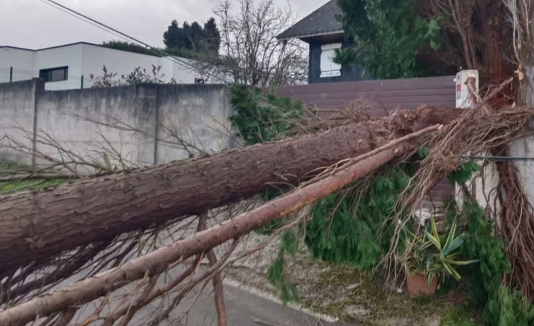 El temporal deja más de 370 incidencias en Galicia y vientos de casi 120 km/h