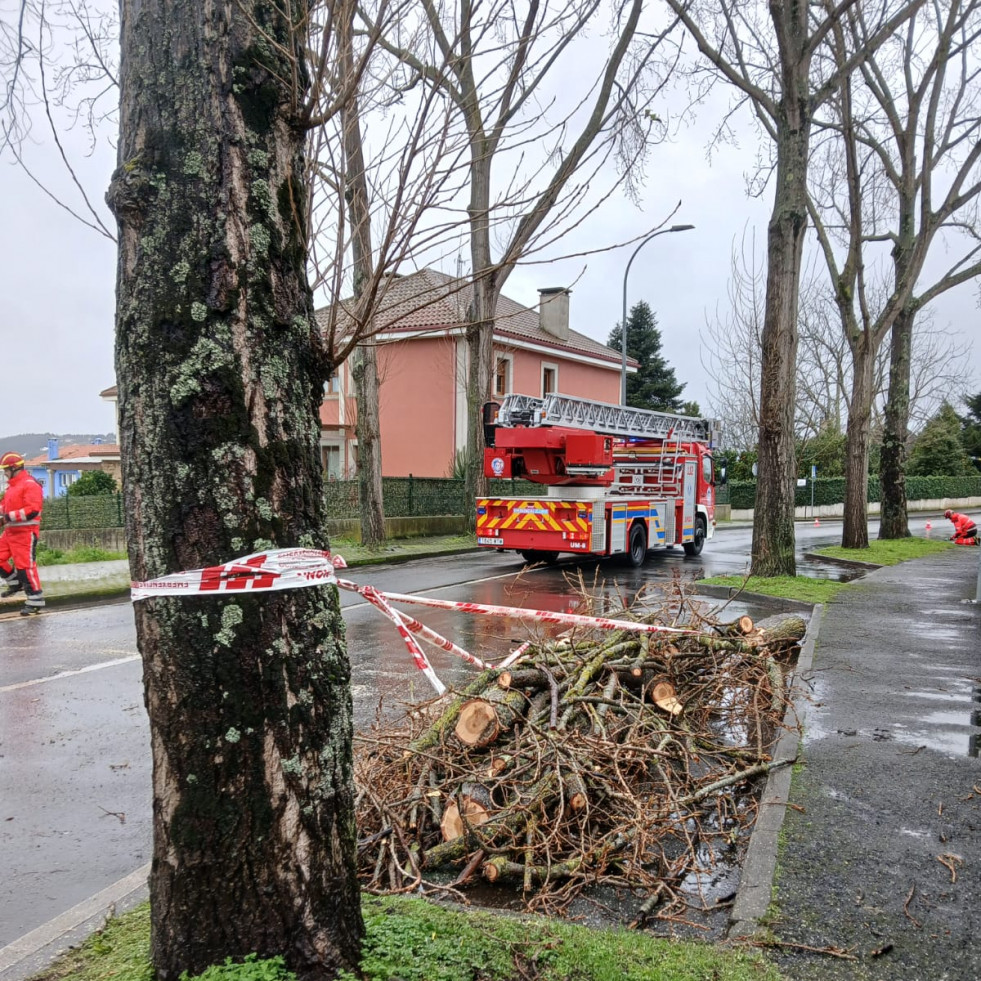 Ramas caídas, antenas desprendidas y alcantarillas desbordadas en Oleiros por el temporal 'Herminia'