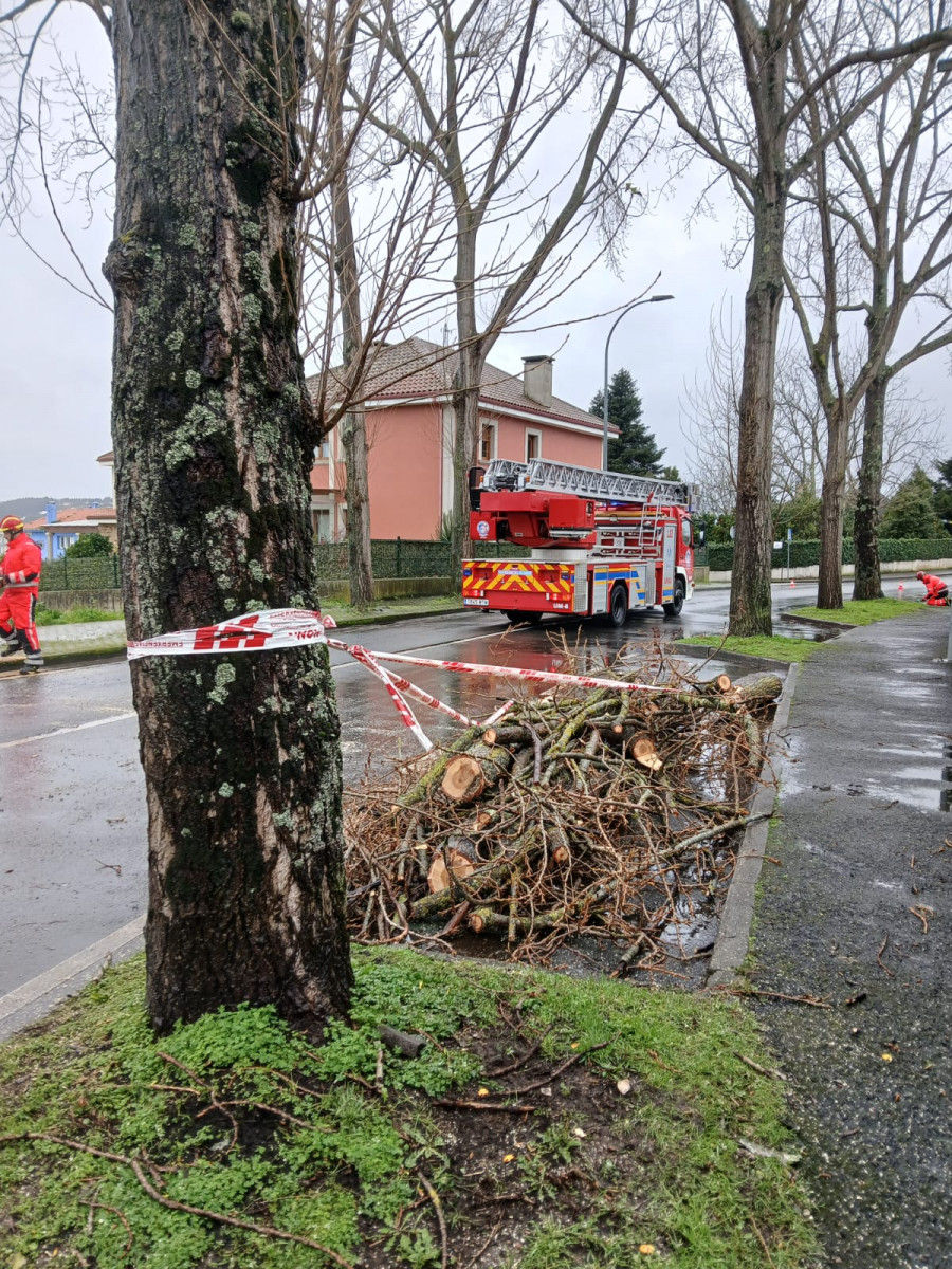 Ramas caídas, antenas desprendidas y alcantarillas desbordadas en Oleiros por el temporal 'Herminia'