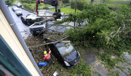 Un árbol cae en Culleredo y destroza varios coches