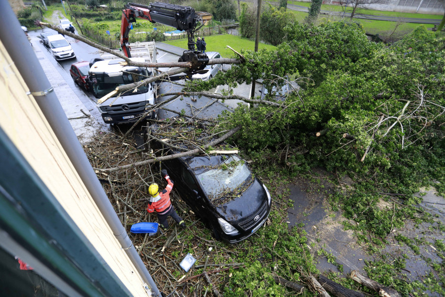 Un árbol cae en Culleredo y destroza varios coches