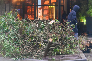 Viento y lluvia por el temporal Herminia en A Coruña @Pedro Puig (4)