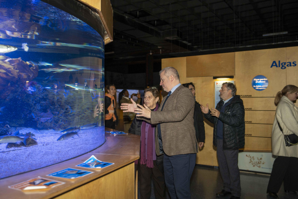 Aquarium finisterrae 11 13270929