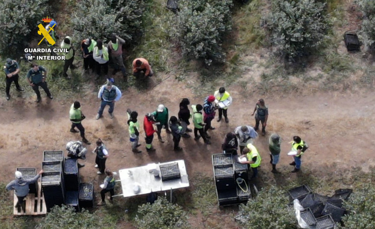 Investigadas tres personas por la contratación de temporeros en situación irregular en una explotación agrícola de Lugo