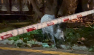 Un jabalí se cuela en el CIFP Paseo das Pontes de A Coruña tras darse un baño en Riazor