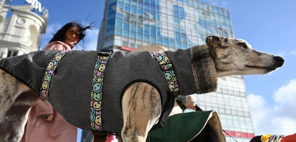 Manifestación contra la caza en A Coruña