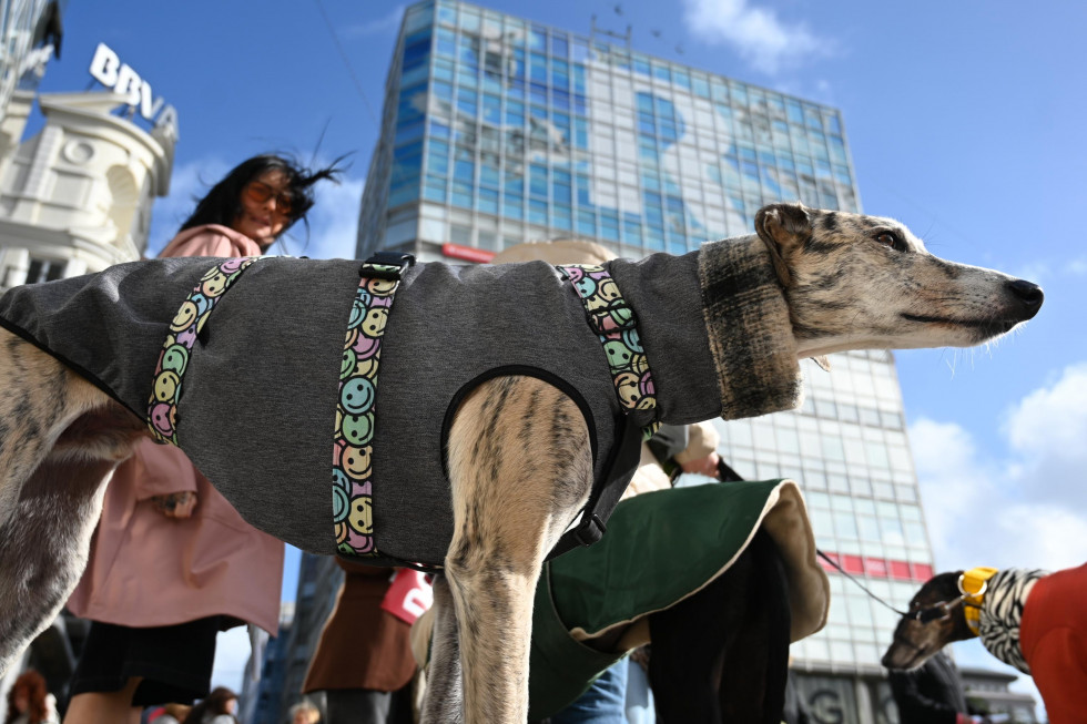 Manifestación contra la caza de animales en A Coruña @Pedro Puig (15)