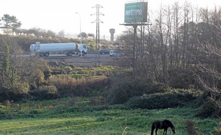 Un camión atropella un caballo en Alfonso Molina y provoca un gran atasco en A Coruña