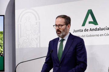 El delegado del Gobierno andaluz en Córdoba, Adolfo Molina,