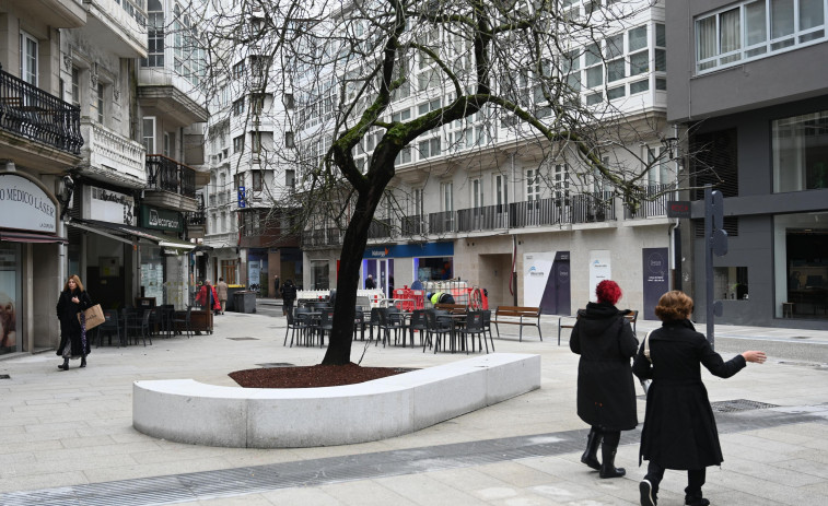 Un árbol de Judas y 74 moreras, los espacios verdes de San Andrés tras la reforma