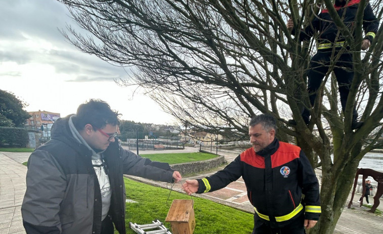 Cambre coloca casas nido para pájaros en el paseo fluvial, O Temple y Casa Arrigada