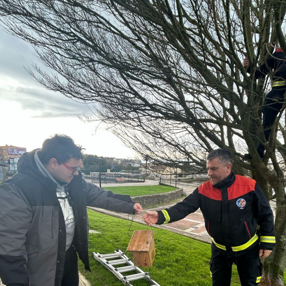 Cambre coloca casas nido para pájaros en el paseo fluvial, O Temple y Casa Arrigada