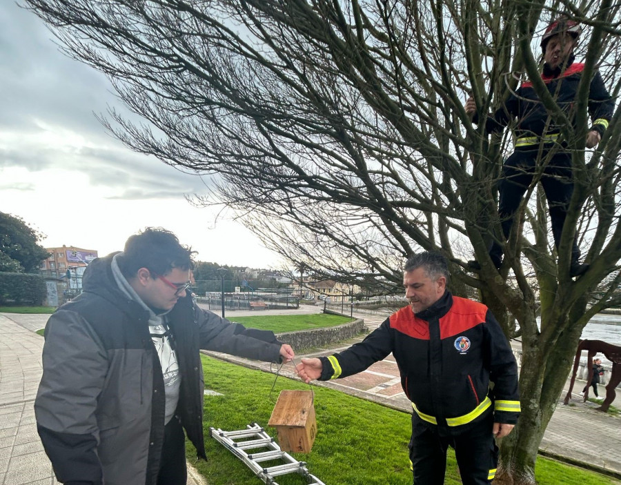 Cambre coloca casas nido para pájaros en el paseo fluvial, O Temple y Casa Arrigada