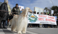 Veterinarios, familias y mascotas protestan en A Coruña por la nueva ley del medicamento