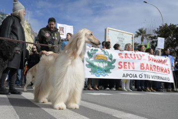 Manifestación de veterinarios y familias de mascotas por la nueva normativa sobre los antibióticos @ Javier Alborés (19)