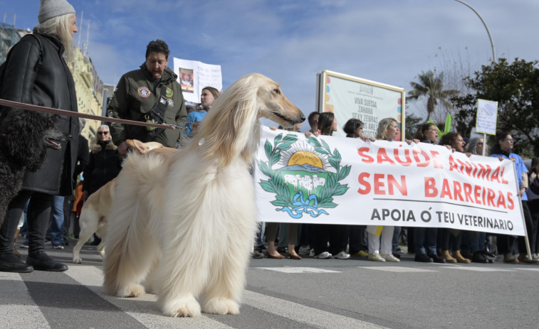 Veterinarios, familias y mascotas protestan en A Coruña por la nueva ley del medicamento