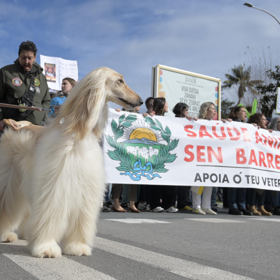 Veterinarios, familias y mascotas protestan en A Coruña por la nueva ley del medicamento