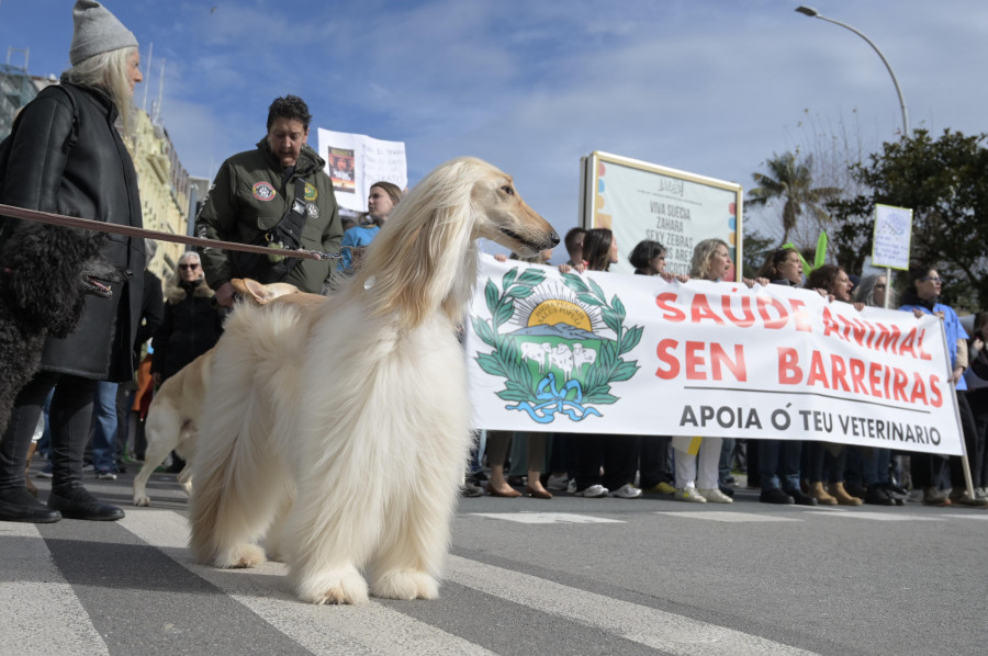 Veterinarios, familias y mascotas protestan en A Coruña por la nueva ley del medicamento